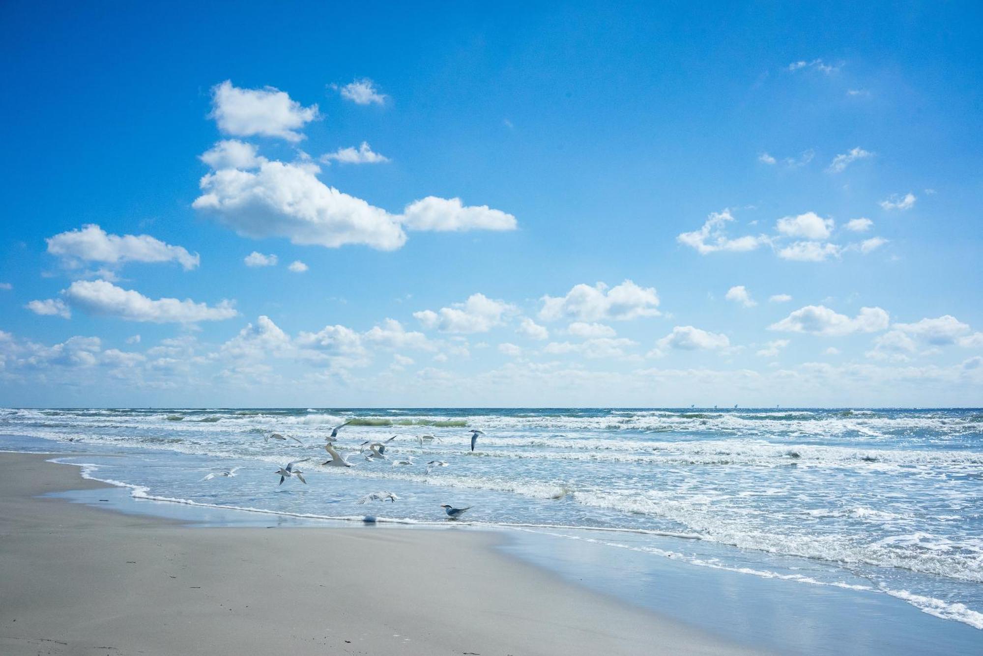 King'S Cove 5 Min To Beach, Bbq, King Bed Corpus Christi Esterno foto